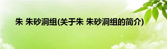 朱 朱砂洞组(关于朱 朱砂洞组的简介)