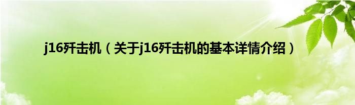 j16歼击机（关于j16歼击机的基本详情介绍）