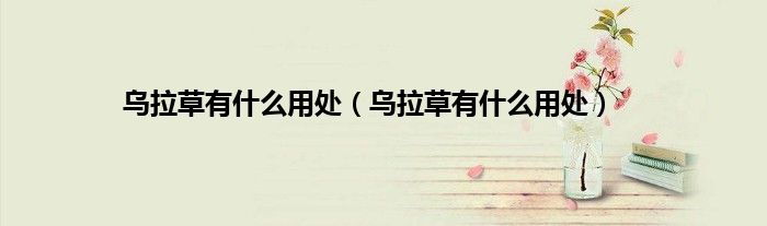 乌拉草有什么用处（乌拉草有什么用处）