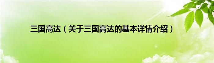 三国高达（关于三国高达的基本详情介绍）