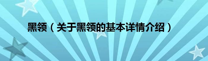 黑领（关于黑领的基本详情介绍）