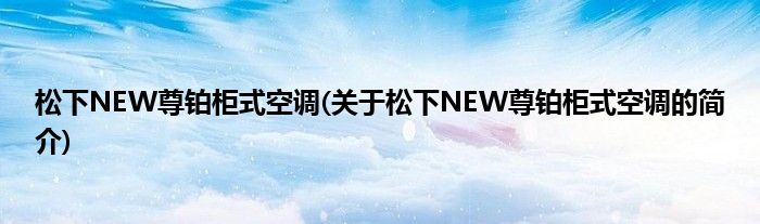 松下NEW尊铂柜式空调(关于松下NEW尊铂柜式空调的简介)