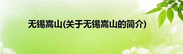 无锡嵩山(关于无锡嵩山的简介)