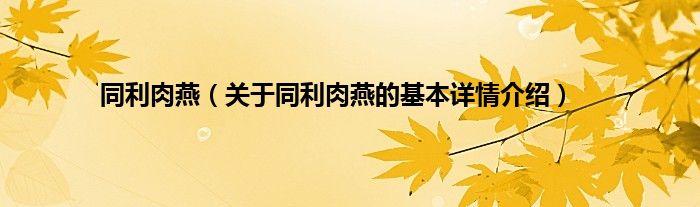 同利肉燕（关于同利肉燕的基本详情介绍）