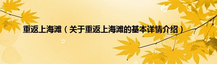 重返上海滩（关于重返上海滩的基本详情介绍）
