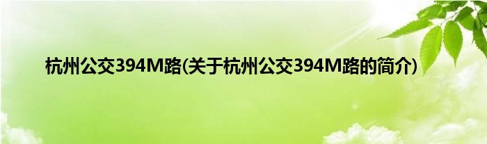 杭州公交394M路(关于杭州公交394M路的简介)