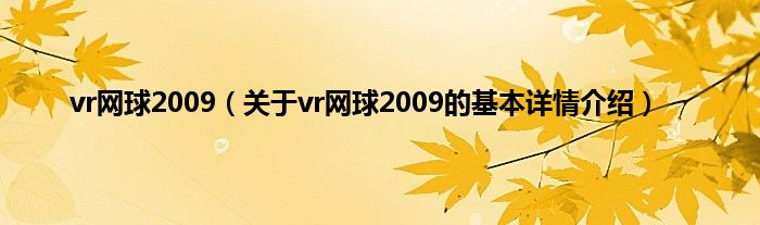 vr网球2009（关于vr网球2009的基本详情介绍）