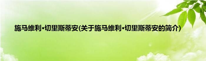 施马维利·切里斯蒂安(关于施马维利·切里斯蒂安的简介)