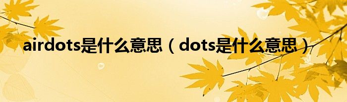 airdots是什么意思（dots是什么意思）