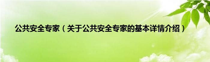 公共安全专家（关于公共安全专家的基本详情介绍）