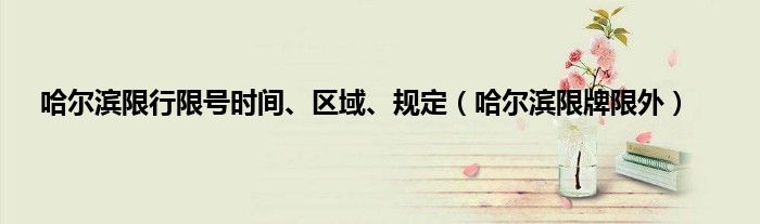 哈尔滨限行限号时间、区域、规定（哈尔滨限牌限外）