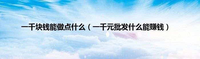 一千块钱能做点什么（一千元批发什么能赚钱）