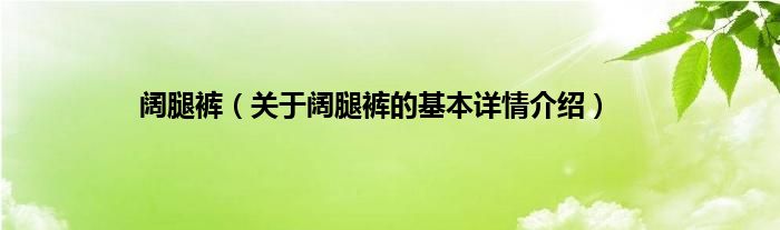 阔腿裤（关于阔腿裤的基本详情介绍）