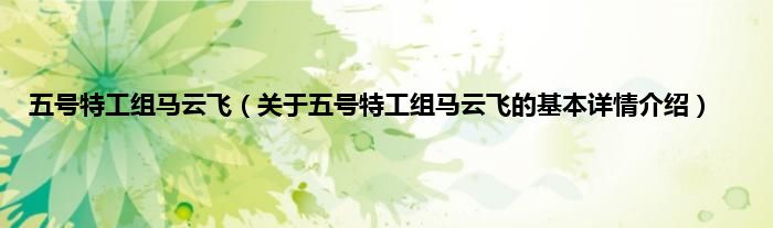 五号特工组马云飞（关于五号特工组马云飞的基本详情介绍）