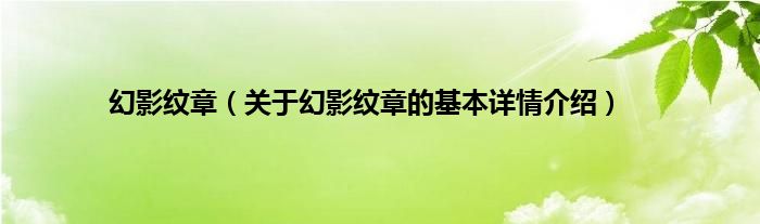 幻影纹章（关于幻影纹章的基本详情介绍）